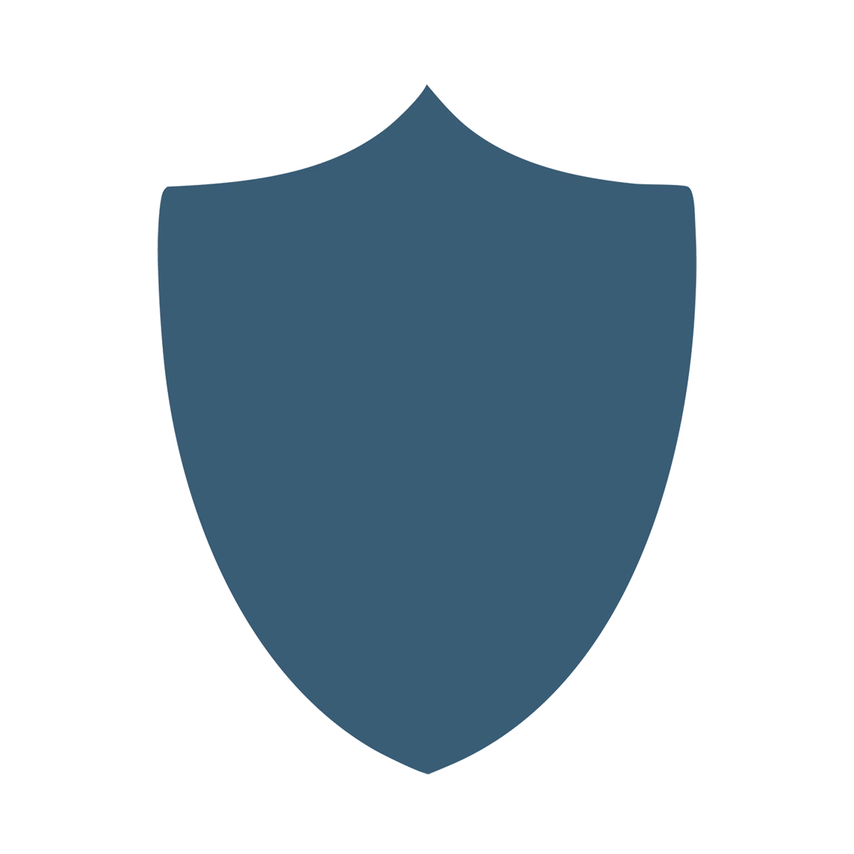 Blue shield icon smaller