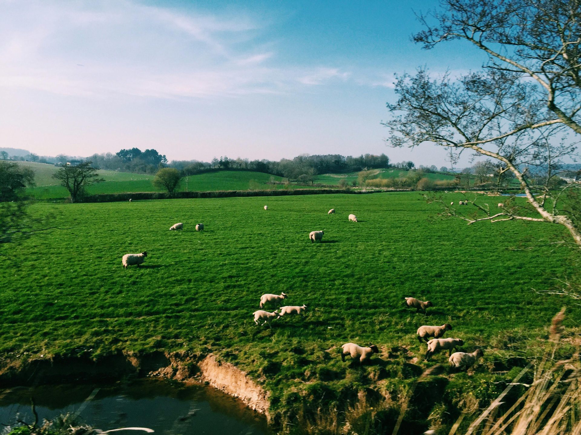 An Okehampton Landscape