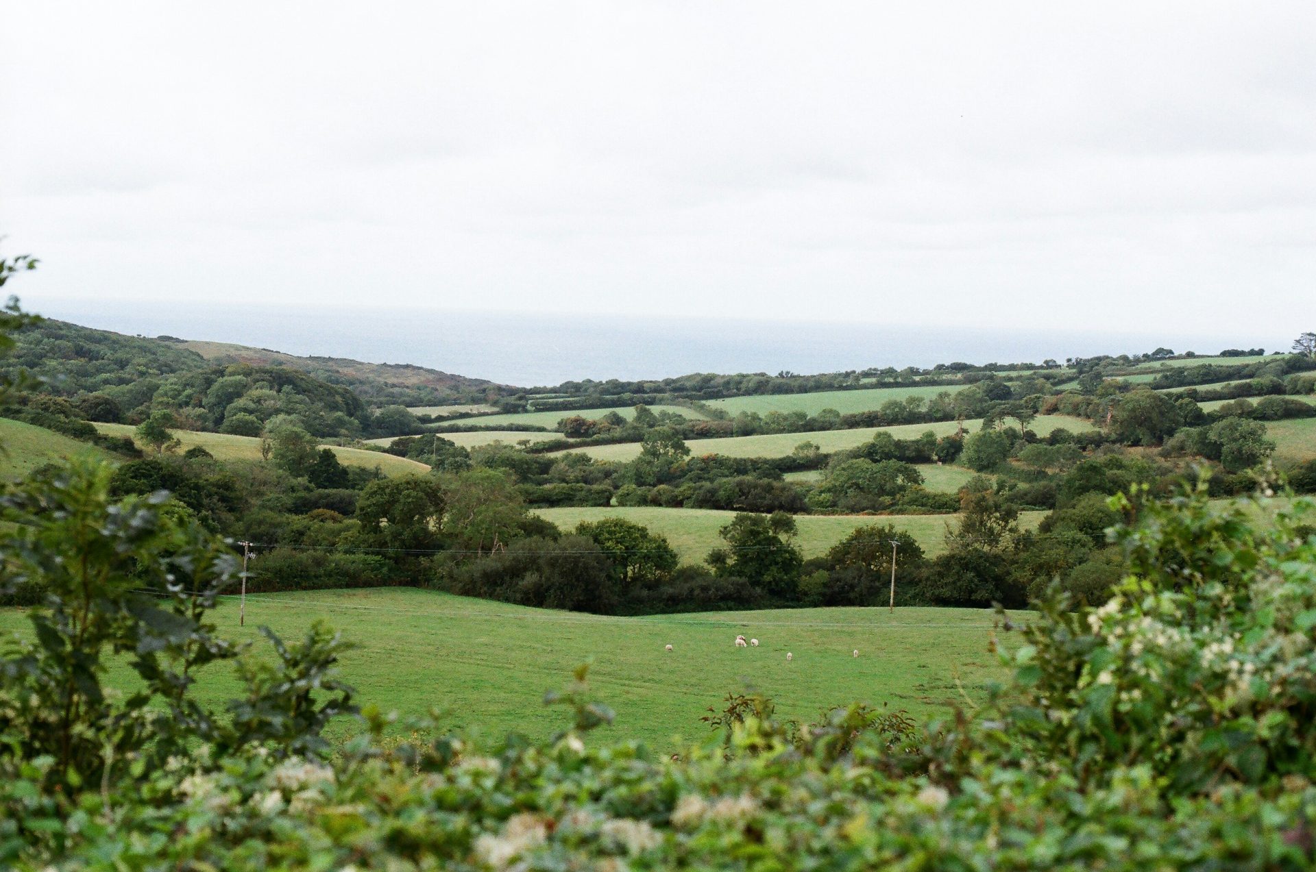 Redruth Landscape